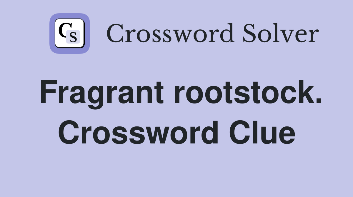 Fragrant rootstock. Crossword Clue