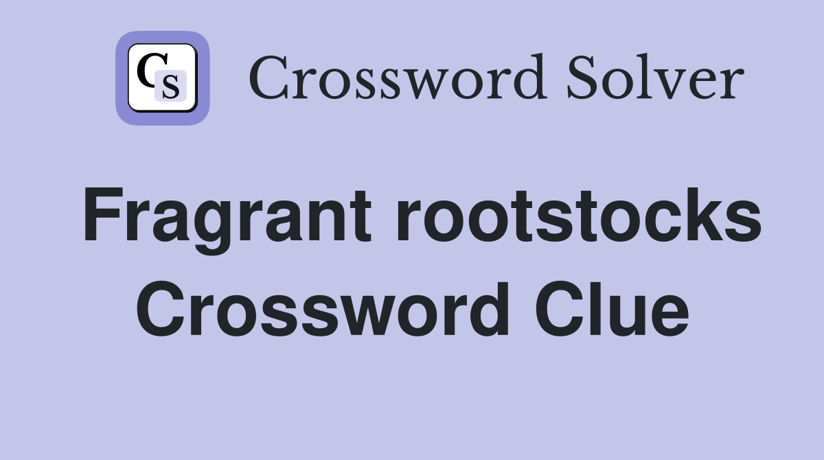 Fragrant rootstocks Crossword Clue