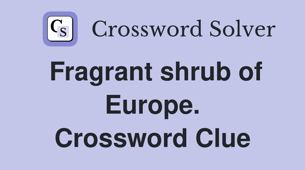 Fragrant shrub of Europe. Crossword Clue
