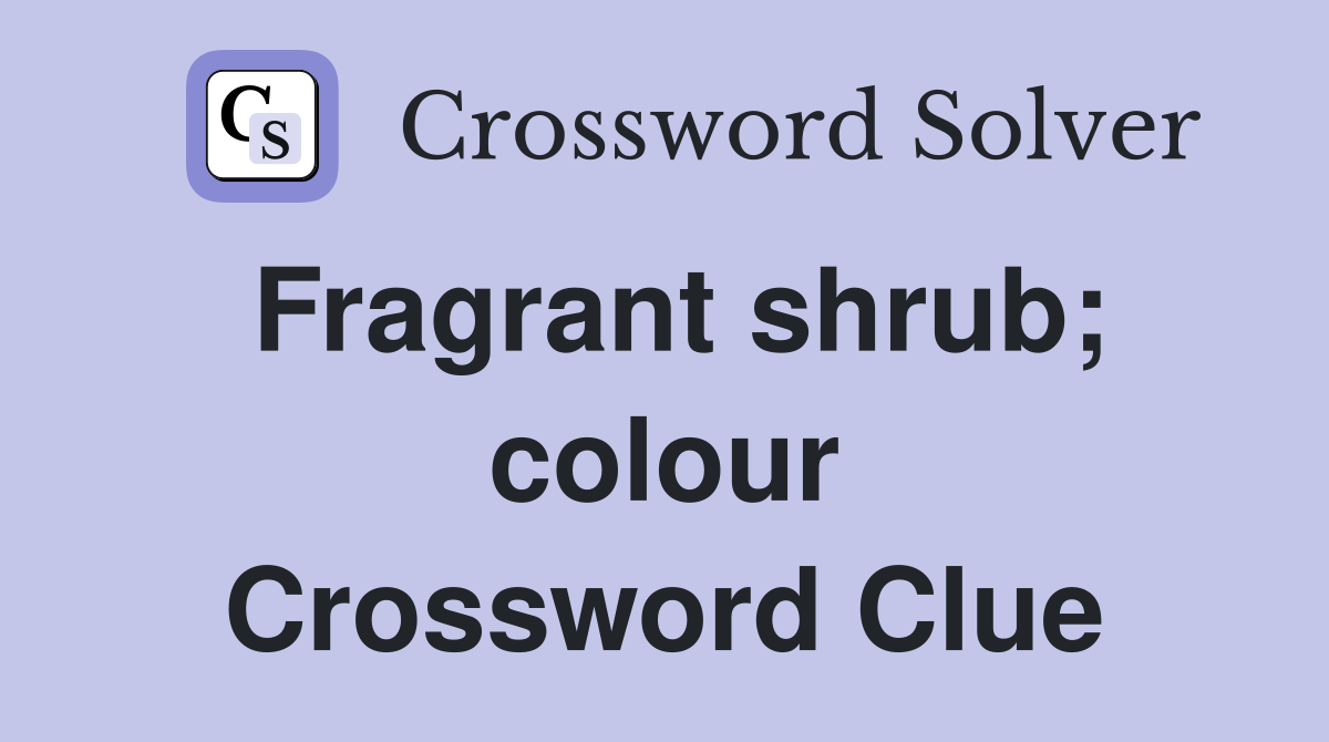 Fragrant shrub; colour Crossword Clue