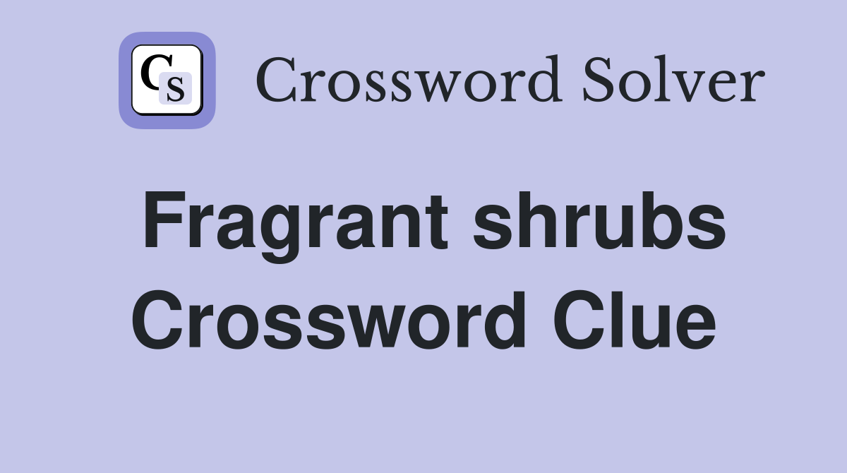 Fragrant shrubs Crossword Clue