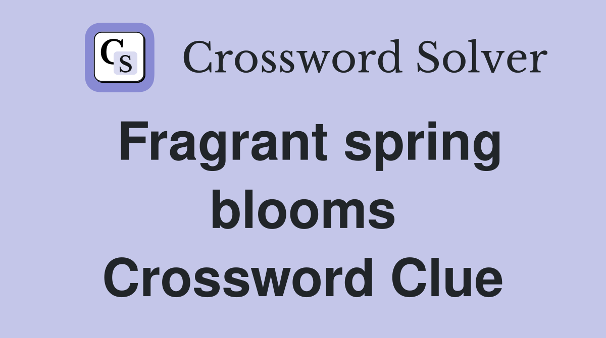 Fragrant spring blooms Crossword Clue