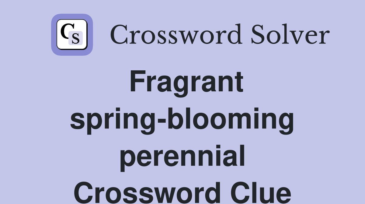 Fragrant spring-blooming perennial Crossword Clue