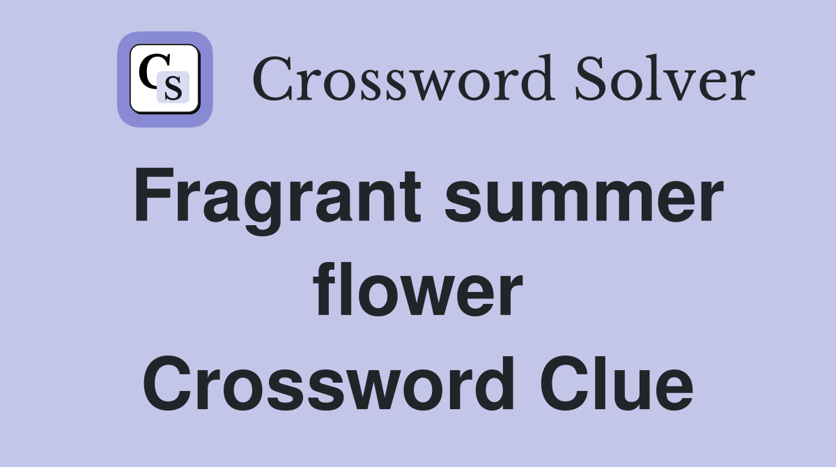 Fragrant summer flower Crossword Clue