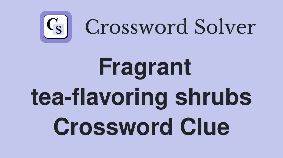 Fragrant tea-flavoring shrubs Crossword Clue