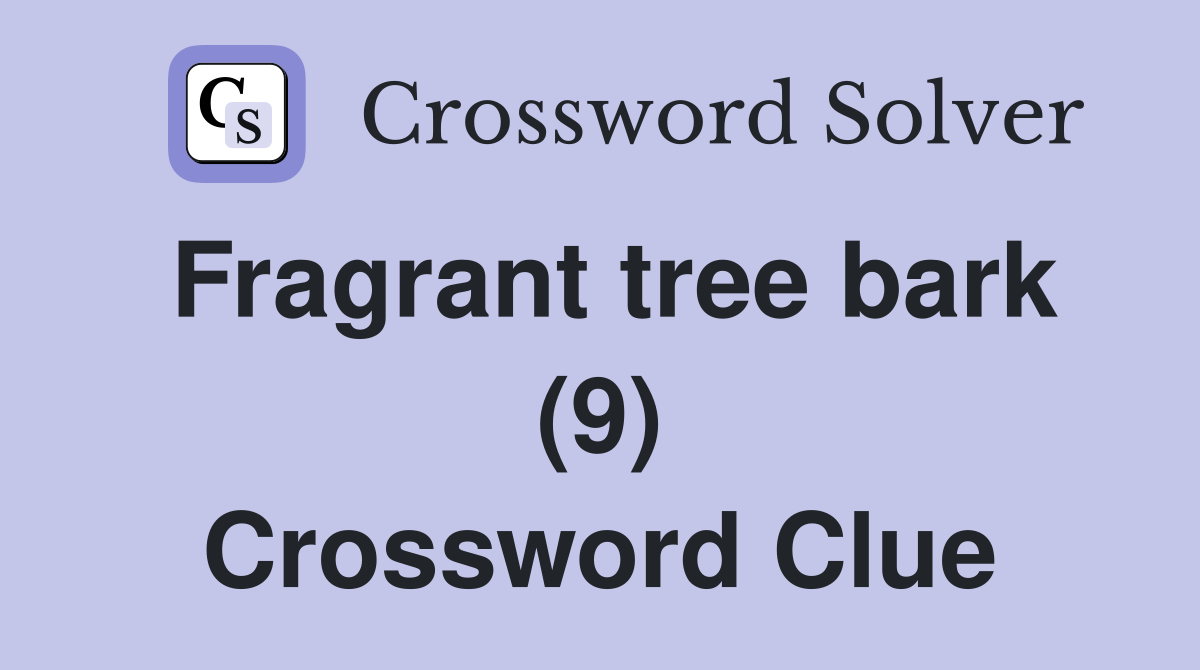 Fragrant tree bark (9) Crossword Clue