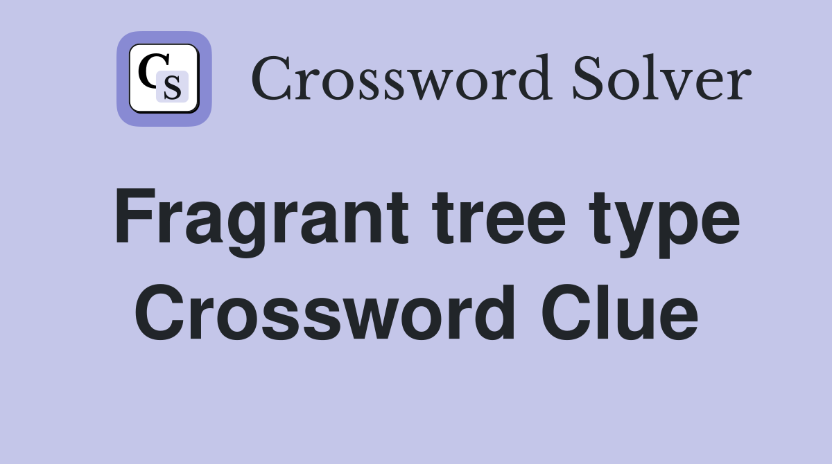 Fragrant tree type Crossword Clue