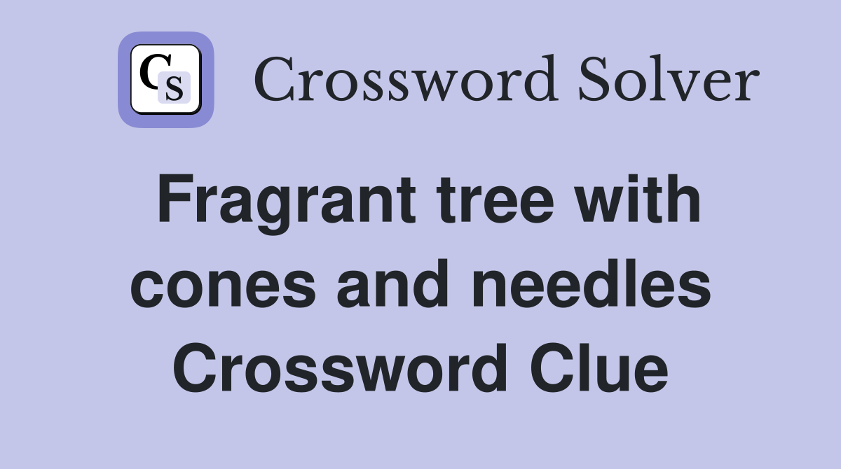 Fragrant tree with cones and needles Crossword Clue