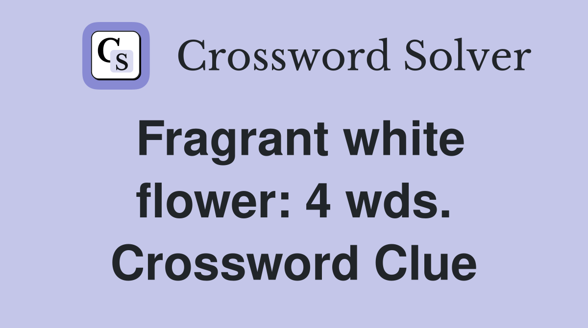 Fragrant white flower: 4 wds. Crossword Clue