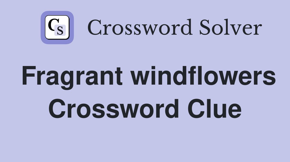 Fragrant windflowers Crossword Clue
