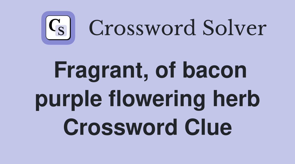 Fragrant, of bacon purple flowering herb Crossword Clue