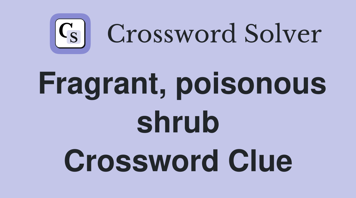 Fragrant, poisonous shrub Crossword Clue