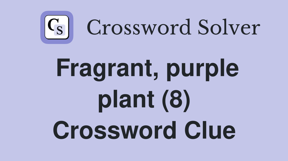 Fragrant, purple plant (8) Crossword Clue