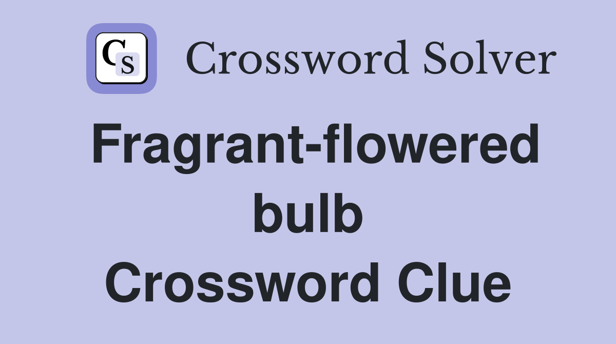 Fragrant-flowered bulb Crossword Clue