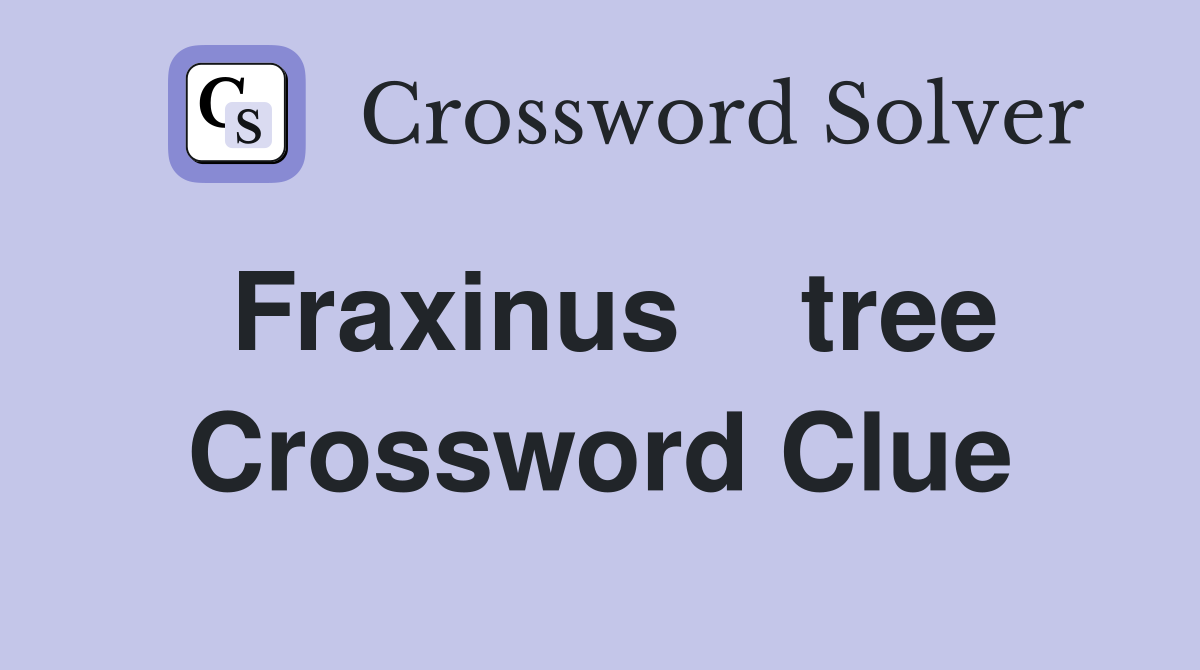 Fraxinus    tree Crossword Clue