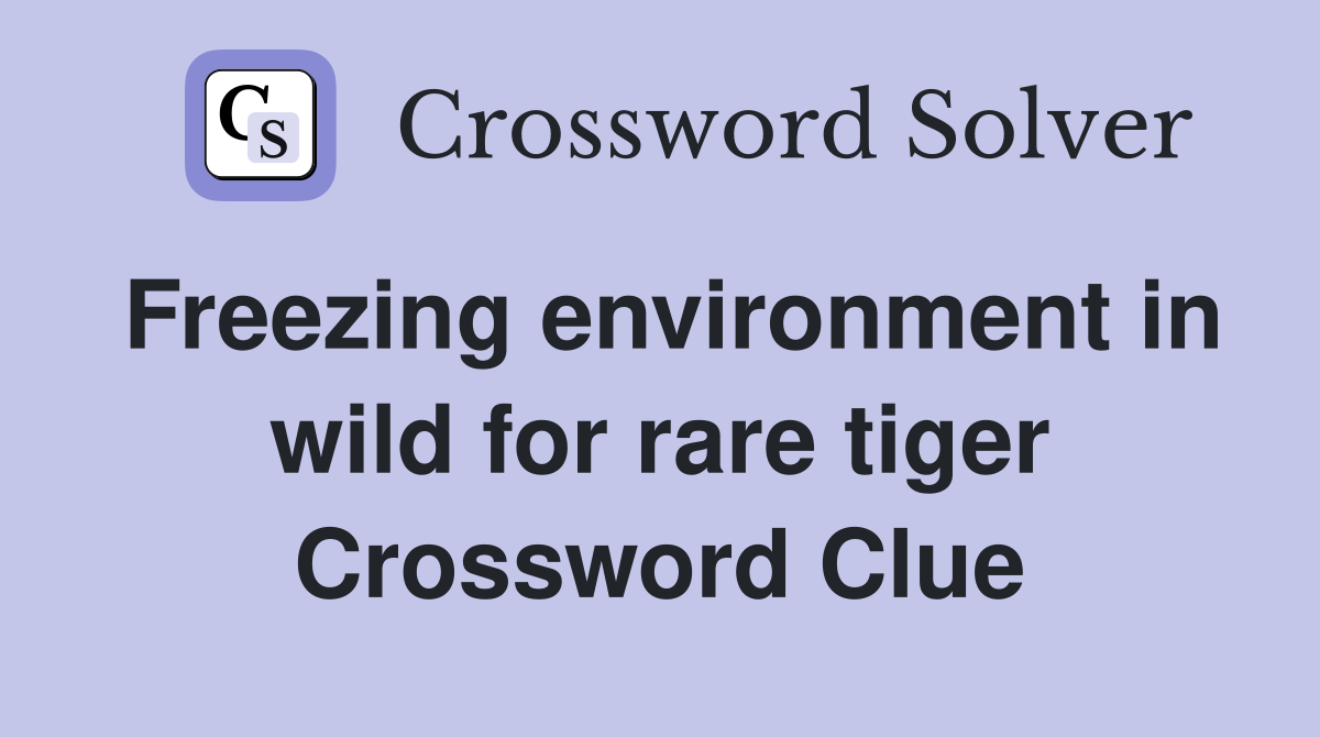 Freezing environment in wild for rare tiger Crossword Clue