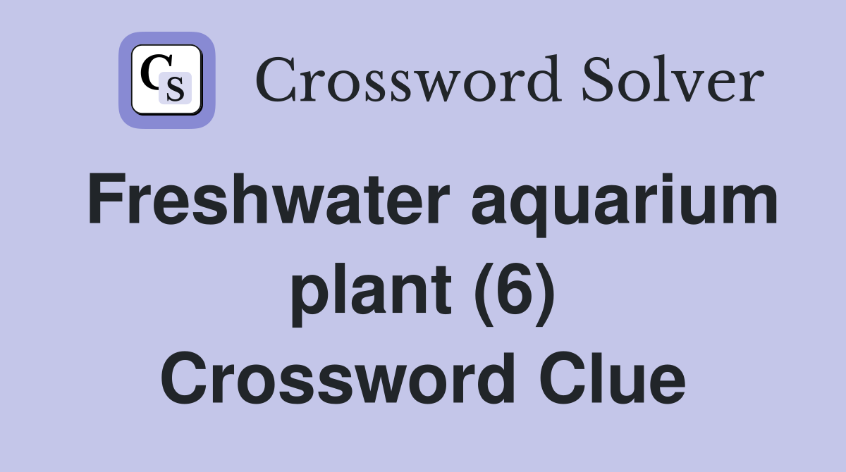 Freshwater aquarium plant (6) Crossword Clue