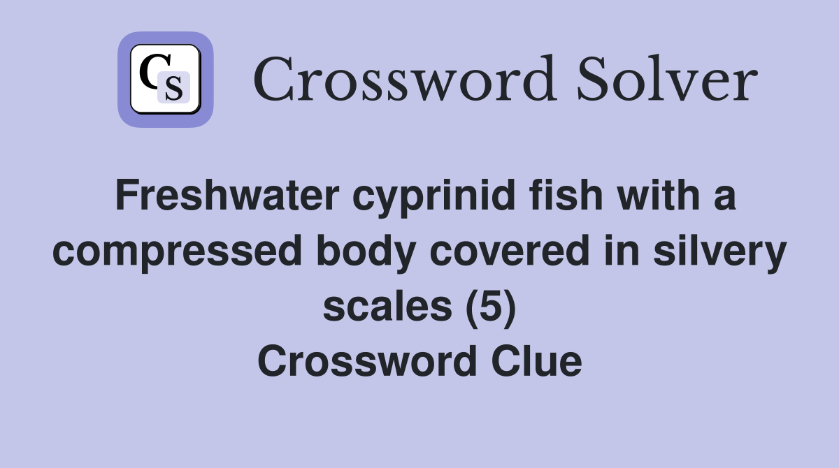 Freshwater cyprinid fish with a compressed body covered in silvery scales (5) Crossword Clue