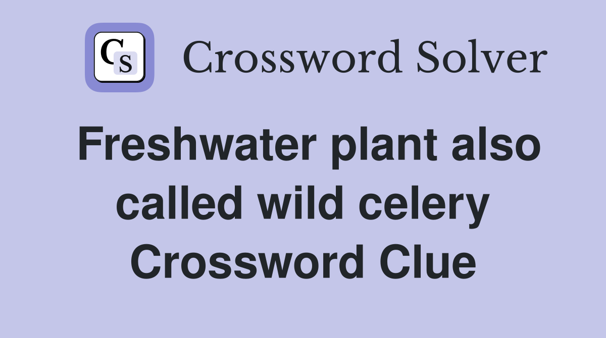 Freshwater plant also called wild celery Crossword Clue