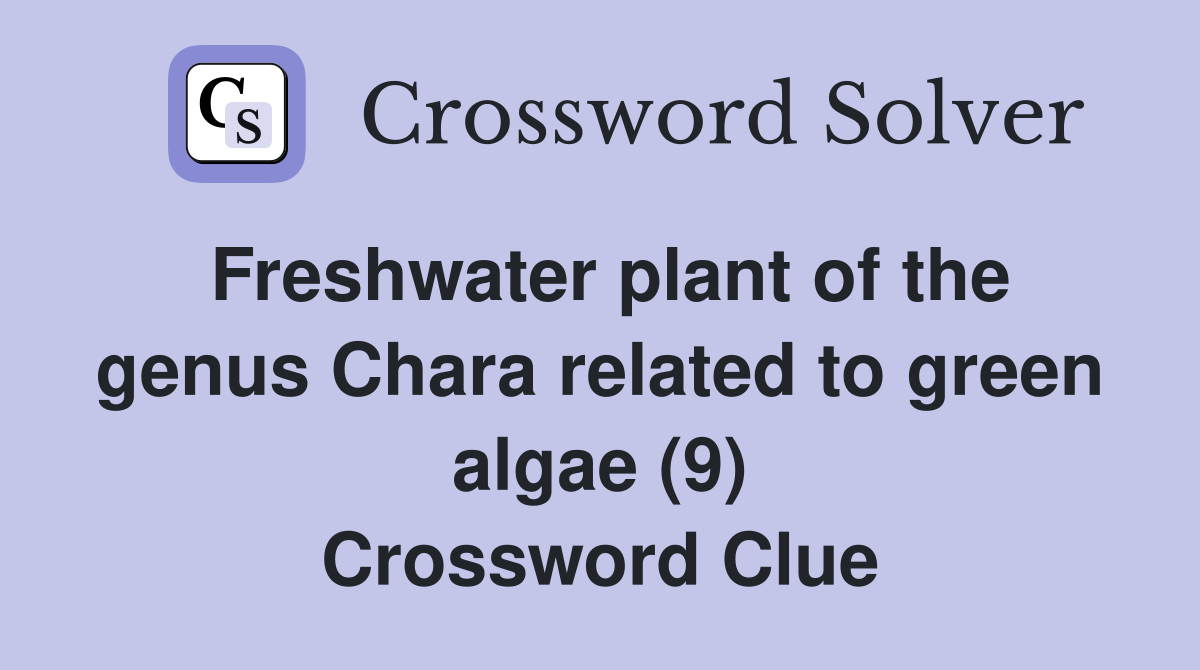 Freshwater plant of the genus Chara related to green algae (9) Crossword Clue