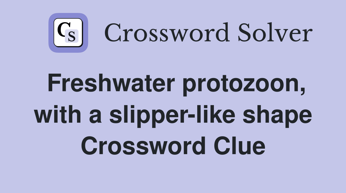 Freshwater protozoon, with a slipper-like shape Crossword Clue