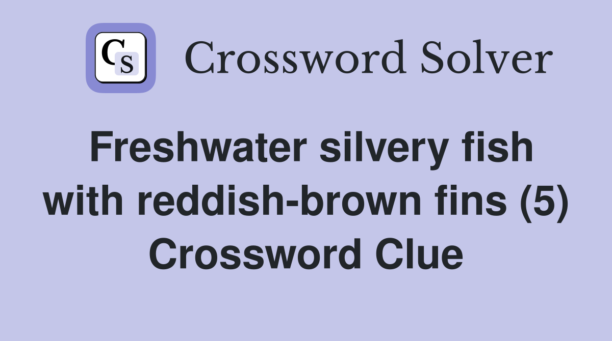 Freshwater silvery fish with reddish-brown fins (5) Crossword Clue