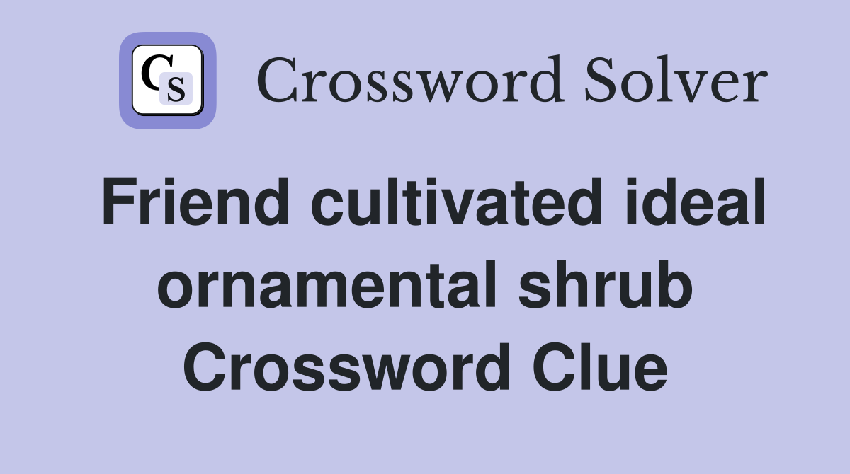 Friend cultivated ideal ornamental shrub Crossword Clue