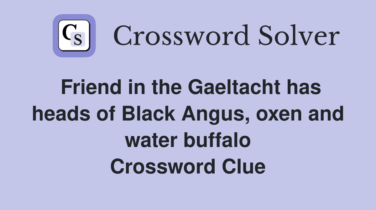 Friend in the Gaeltacht has heads of Black Angus, oxen and water buffalo Crossword Clue