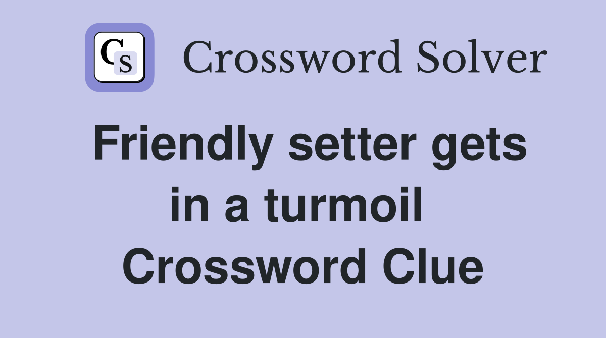 Friendly setter gets in a turmoil  Crossword Clue
