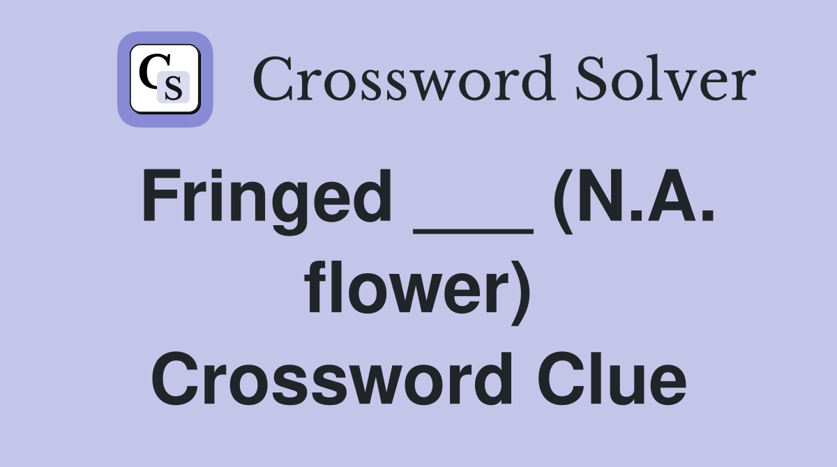 Fringed ___ (N.A. flower) Crossword Clue