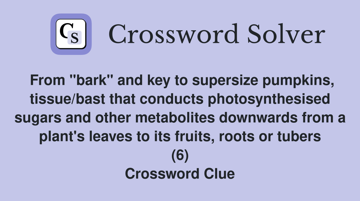 From "bark" and key to supersize pumpkins, tissue/bast that conducts photosynthesised sugars and other metabolites downwards from a plant's leaves to its fruits, roots or tubers (6) Crossword Clue