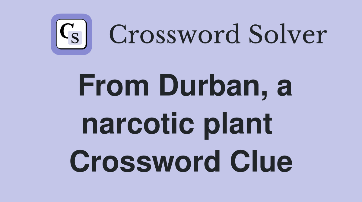 From Durban, a narcotic plant  Crossword Clue