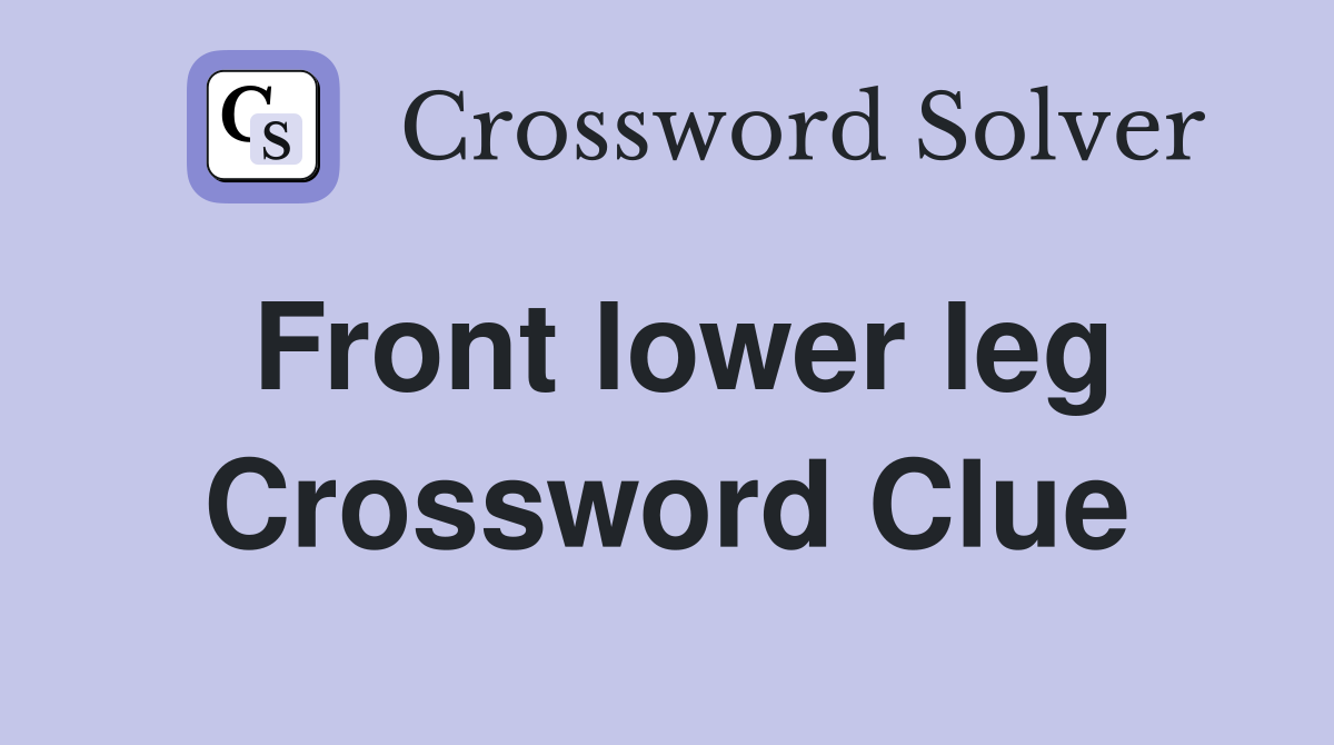 Front lower leg Crossword Clue