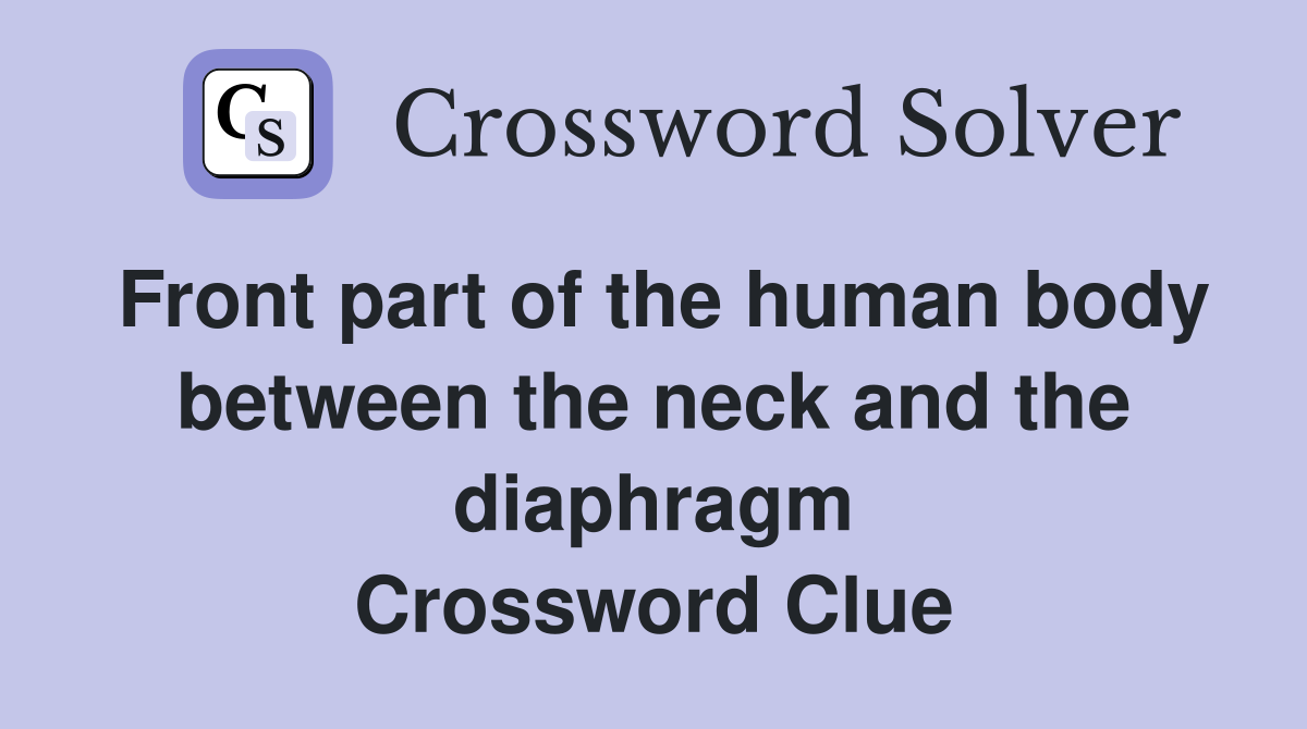 Front part of the human body between the neck and the diaphragm Crossword Clue