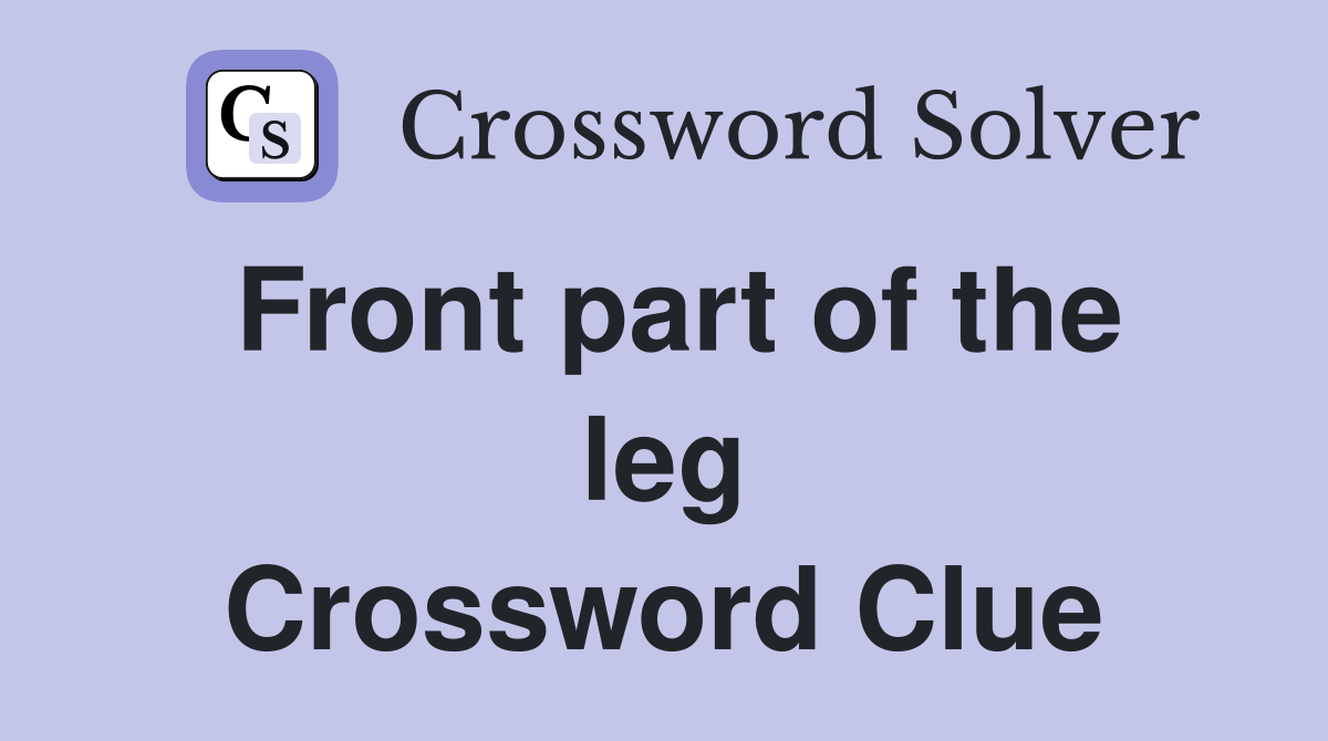 Front part of the leg Crossword Clue