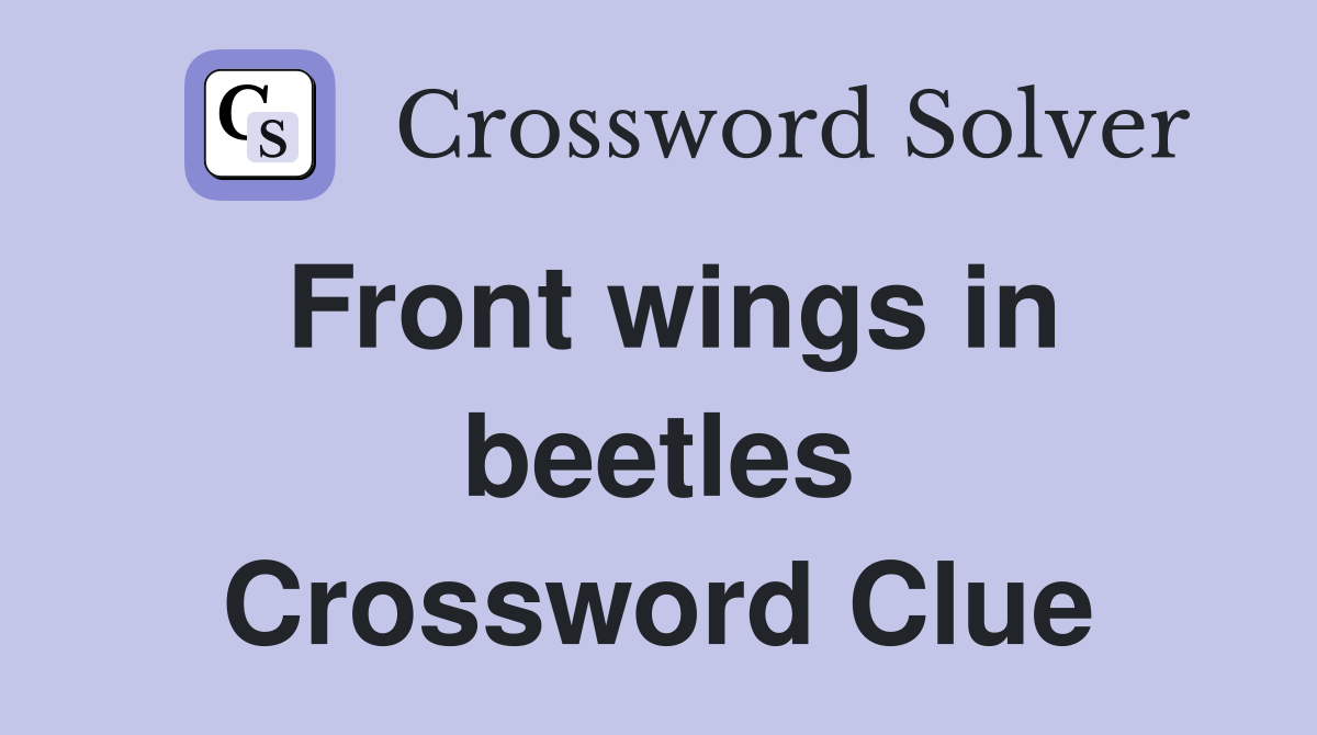 Front wings in beetles Crossword Clue