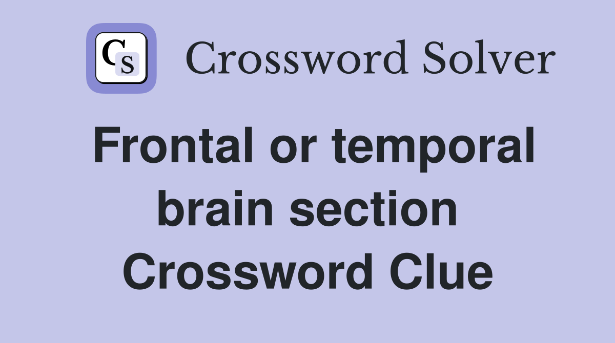 Frontal or temporal brain section Crossword Clue