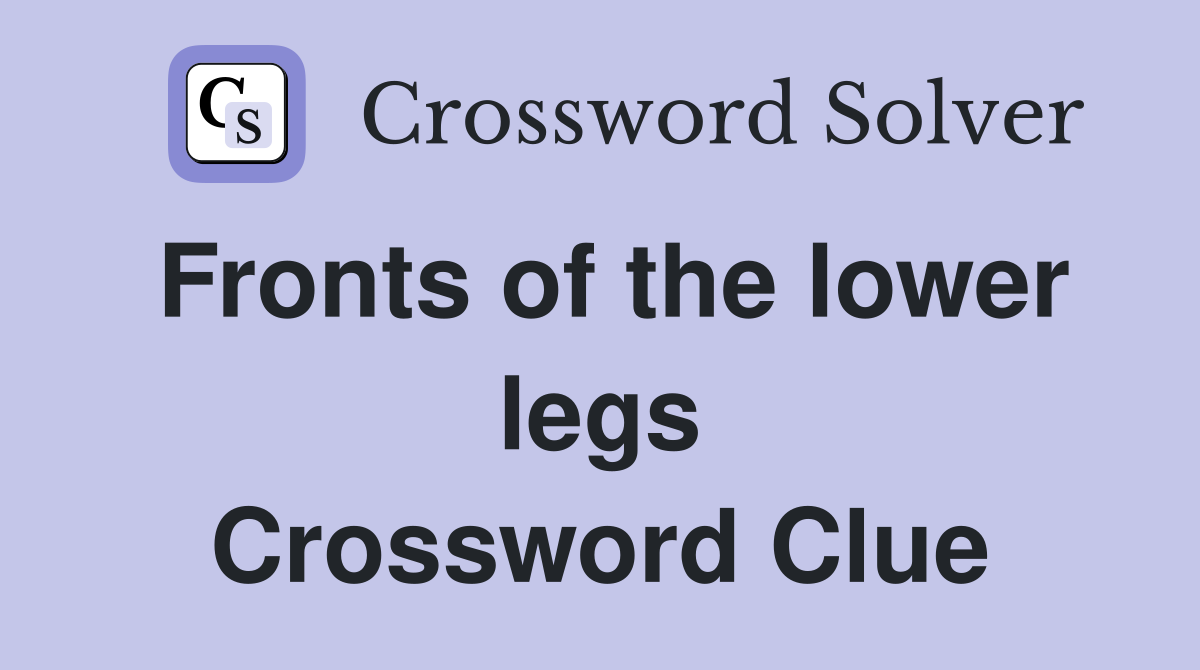 Fronts of the lower legs Crossword Clue