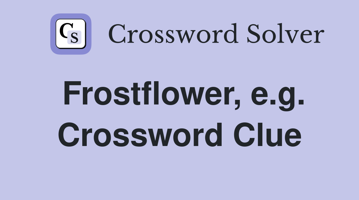 Frostflower, e.g. Crossword Clue
