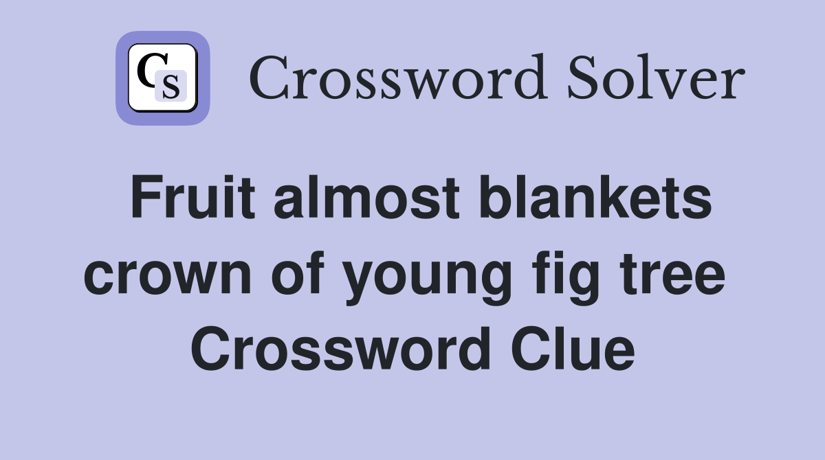 Fruit almost blankets crown of young fig tree  Crossword Clue