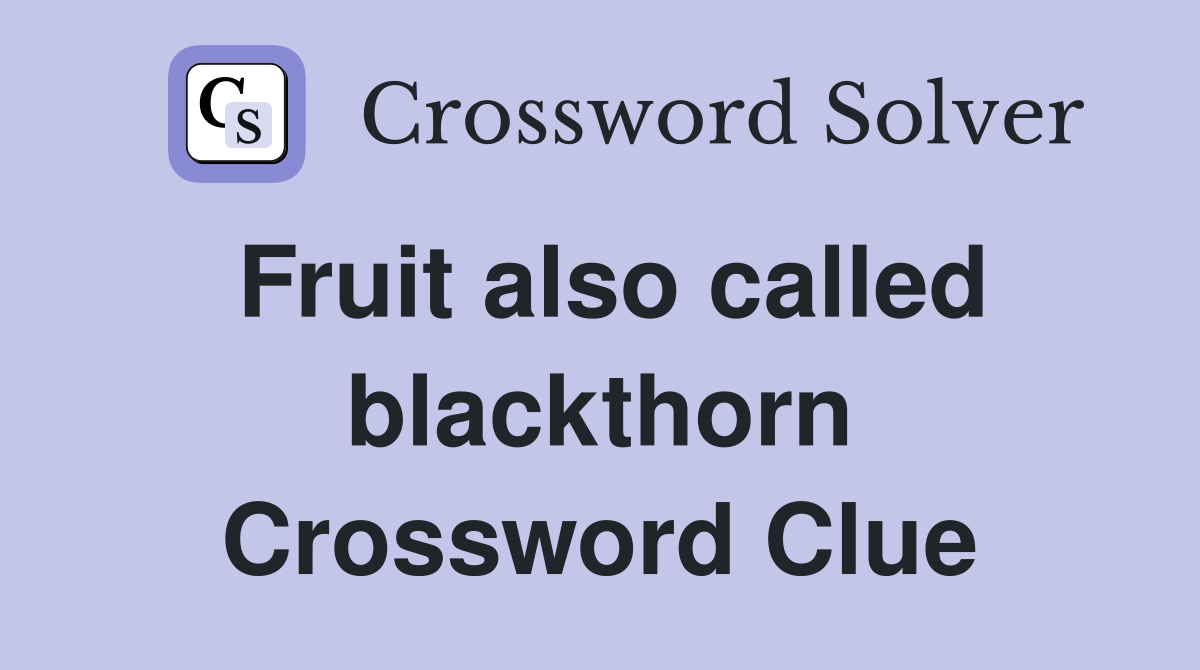 Fruit also called blackthorn Crossword Clue