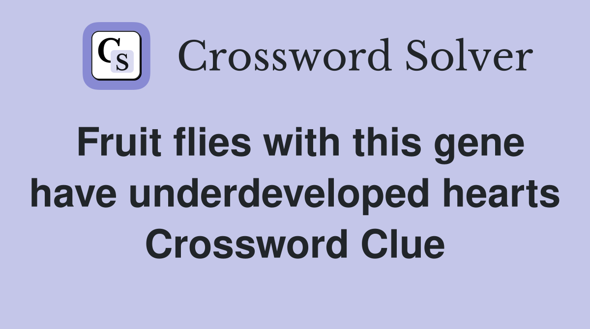 Fruit flies with this gene have underdeveloped hearts Crossword Clue
