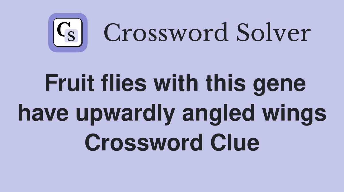 Fruit flies with this gene have upwardly angled wings Crossword Clue