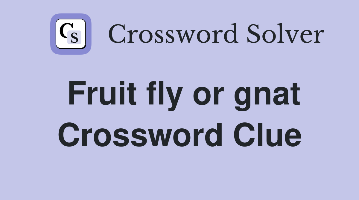 Fruit fly or gnat Crossword Clue