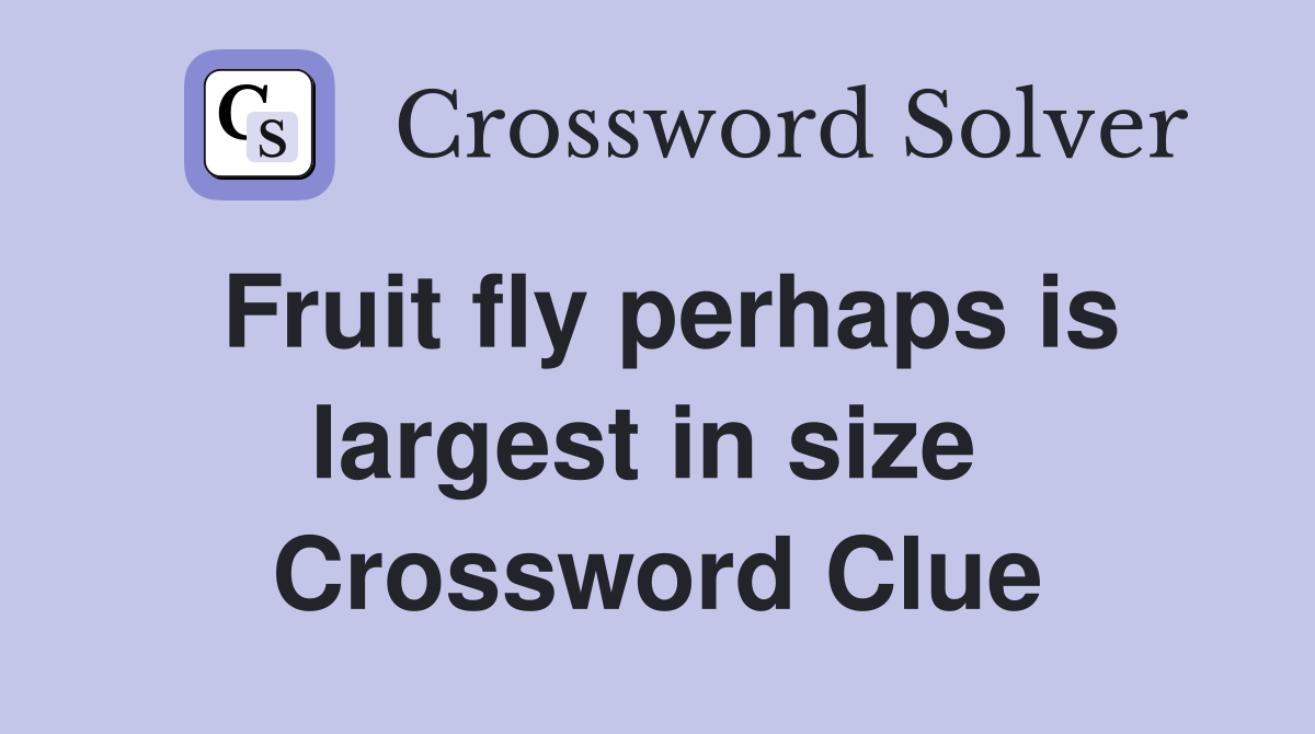 Fruit fly perhaps is largest in size  Crossword Clue