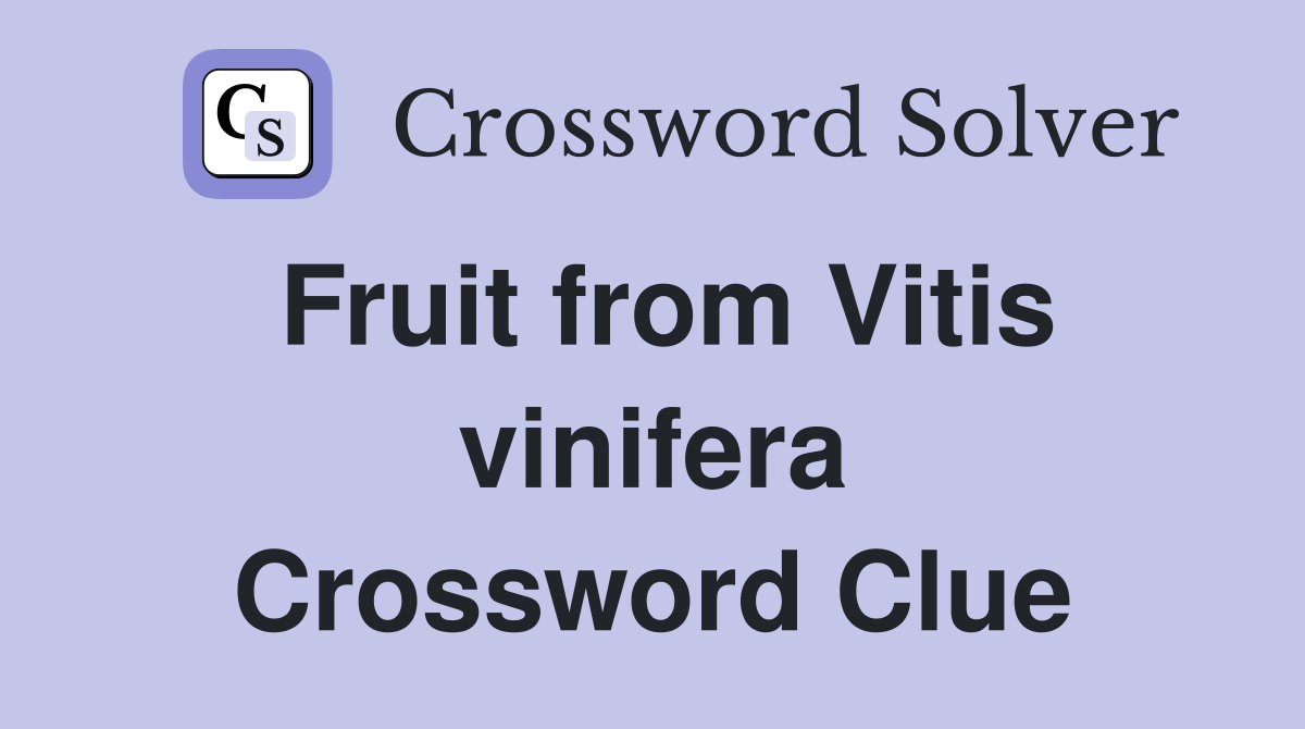 Fruit from Vitis vinifera Crossword Clue