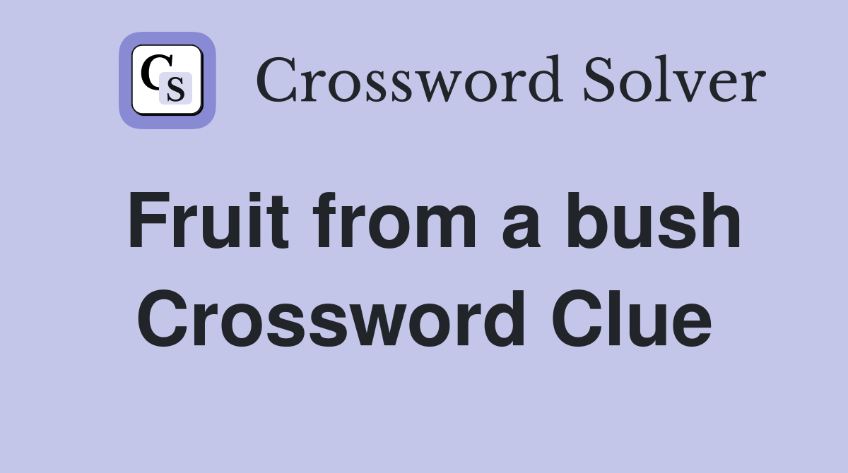 Fruit from a bush Crossword Clue