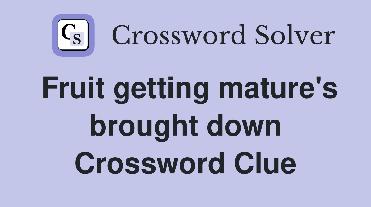 Fruit getting mature's brought down Crossword Clue