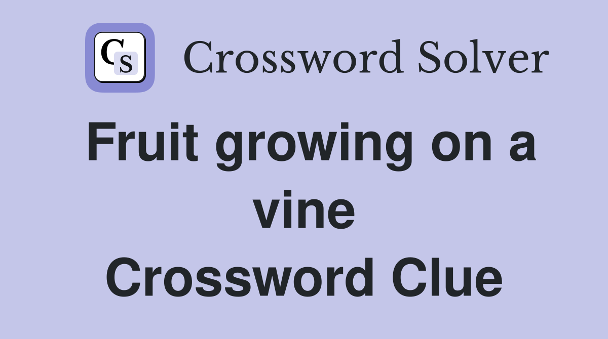 Fruit growing on a vine Crossword Clue