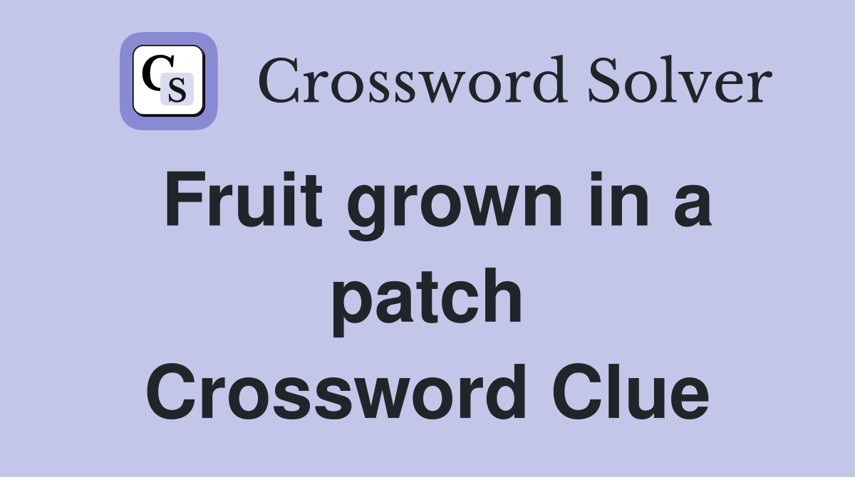Fruit grown in a patch Crossword Clue